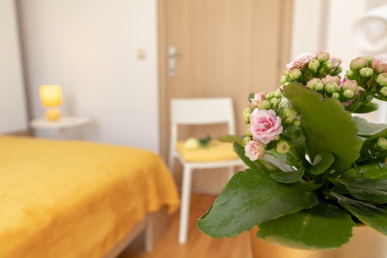 Apartment Nik - Cosy And Stylish 杜布罗夫尼克 外观 照片